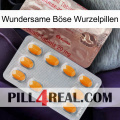 Wundersame Böse Wurzelpillen new13